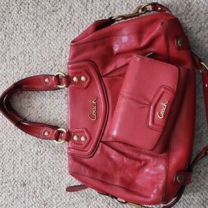 Coach Purse & Wallet